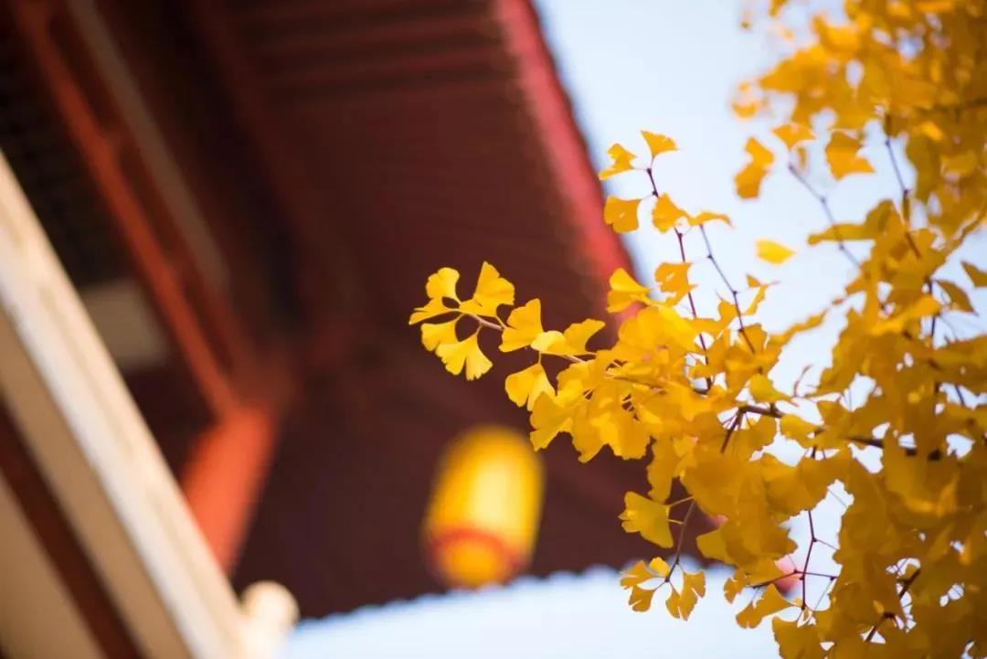 微信图片_20210310141032.jpg