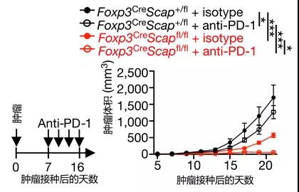 1617342162470853.jpg 微信图片_20210402134106.jpg