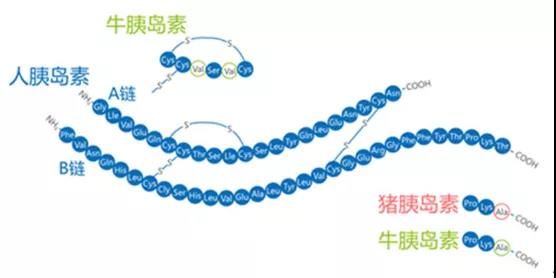 1619071445940967.jpg 微信图片_20210422140330.jpg