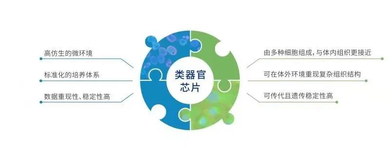 微信图片_20210730152819.jpg
