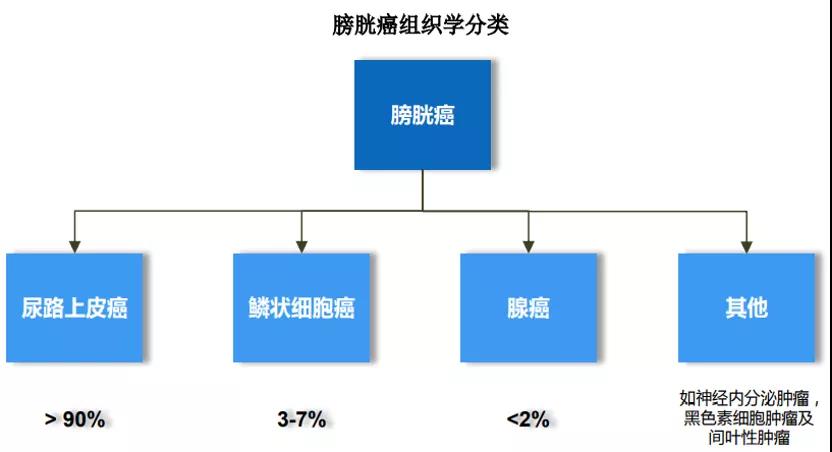 微信图片_20211220144051.jpg