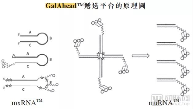 微信图片_20211230134842.jpg