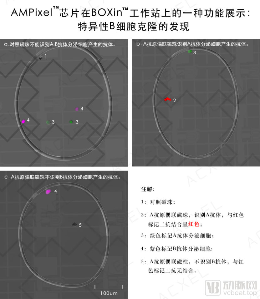 微信图片_20220331134739.png