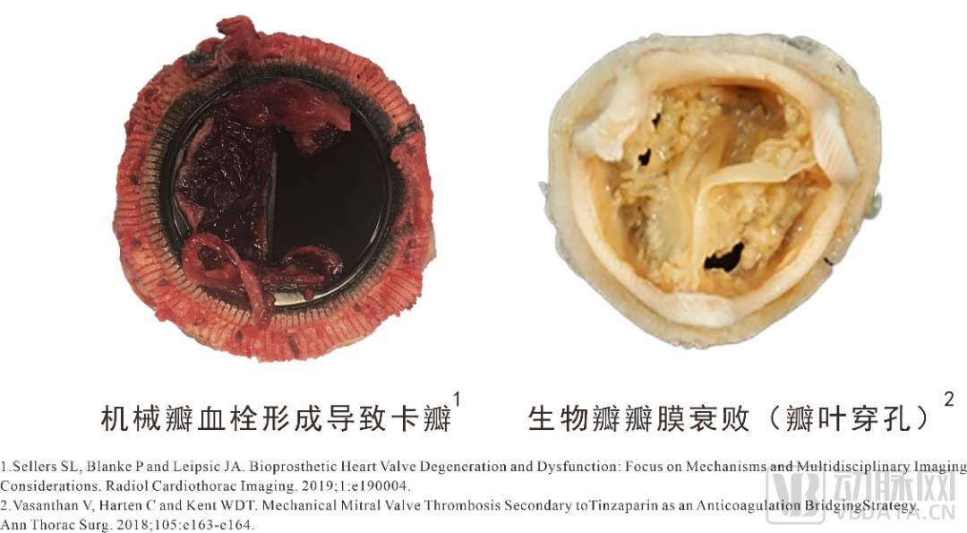 微信图片_20220413135958.png