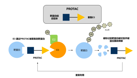 微信图片_20220614145402.png