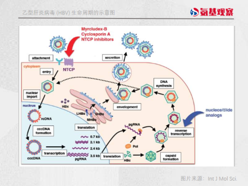 微信图片_20220707140950.png