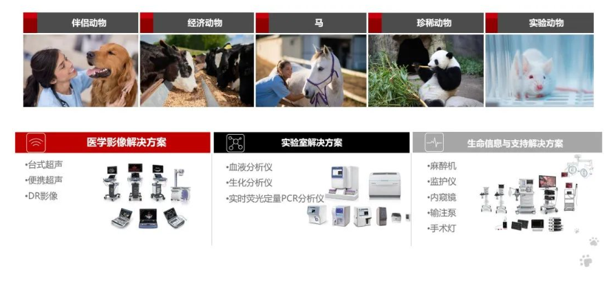 微信图片_20220729134128.png