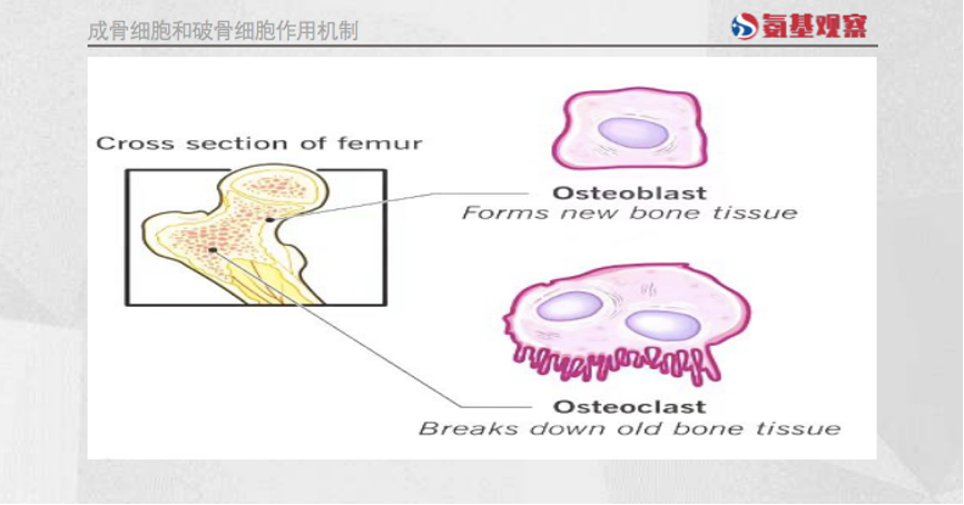 微信图片_20230519155139.png